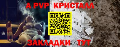 тгк Кингисепп
