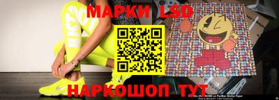 тгк Кингисепп