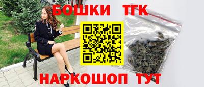 тгк Кингисепп