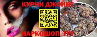 тгк Кингисепп