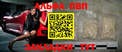 тгк Кингисепп