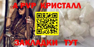 тгк Кингисепп