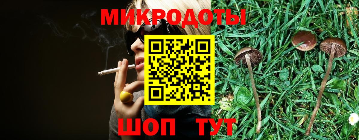 Канаш  Псилоцибиновые грибы Cubensis  Вход с VPN 