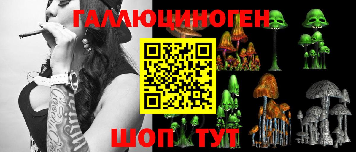 Галлюциногенные грибы Cubensis Канаш